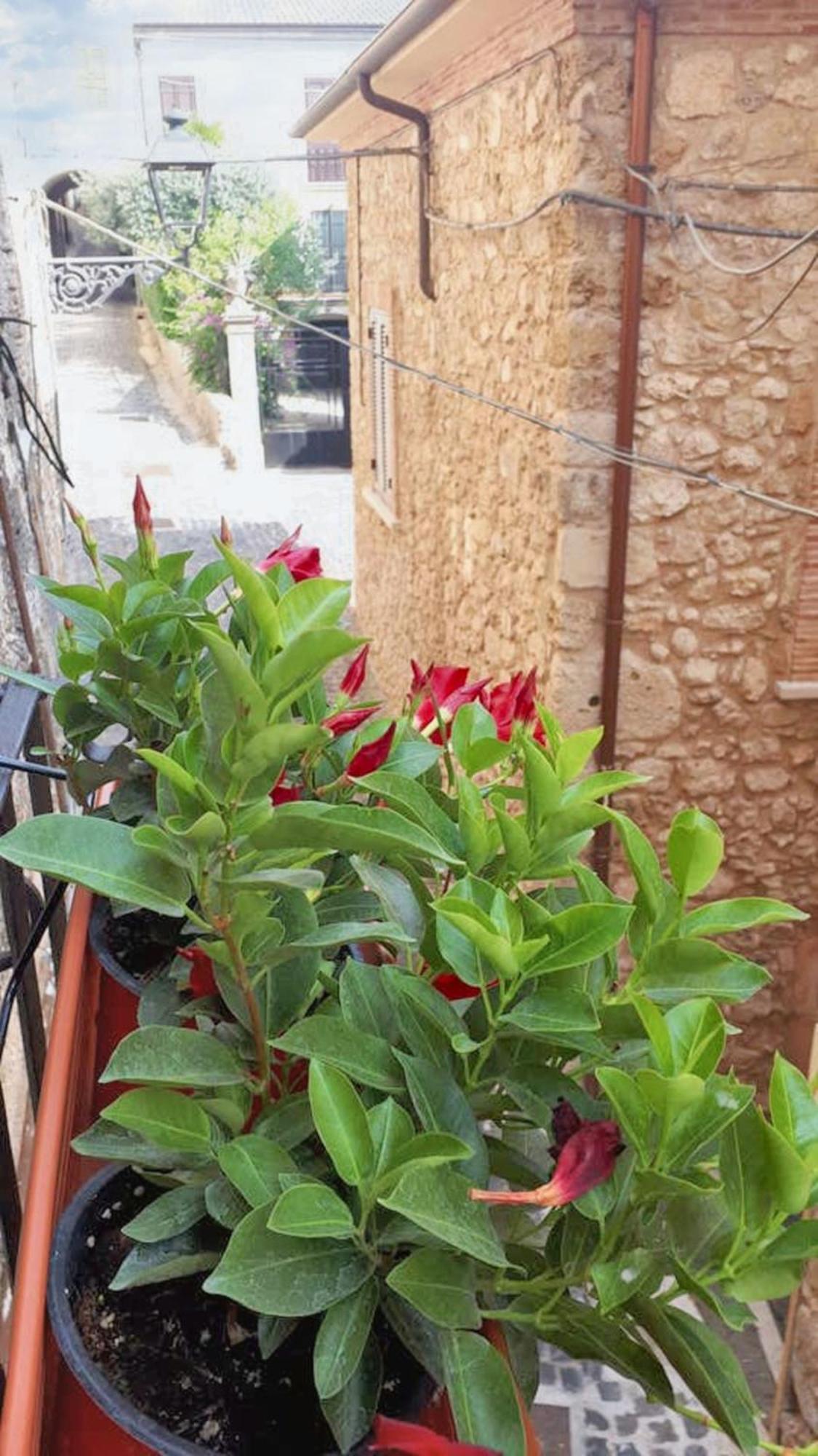 Modern Apartment Near Arce City Centre 62 M² Parking Extérieur photo